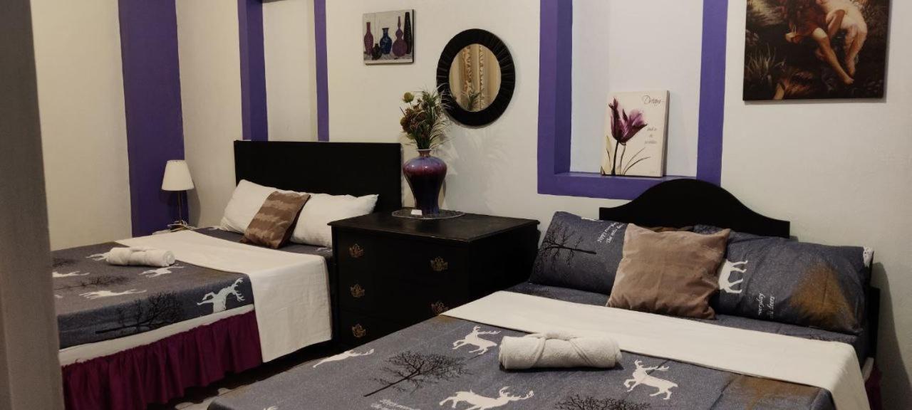 Center Parkway Pension House كاليبو المظهر الخارجي الصورة